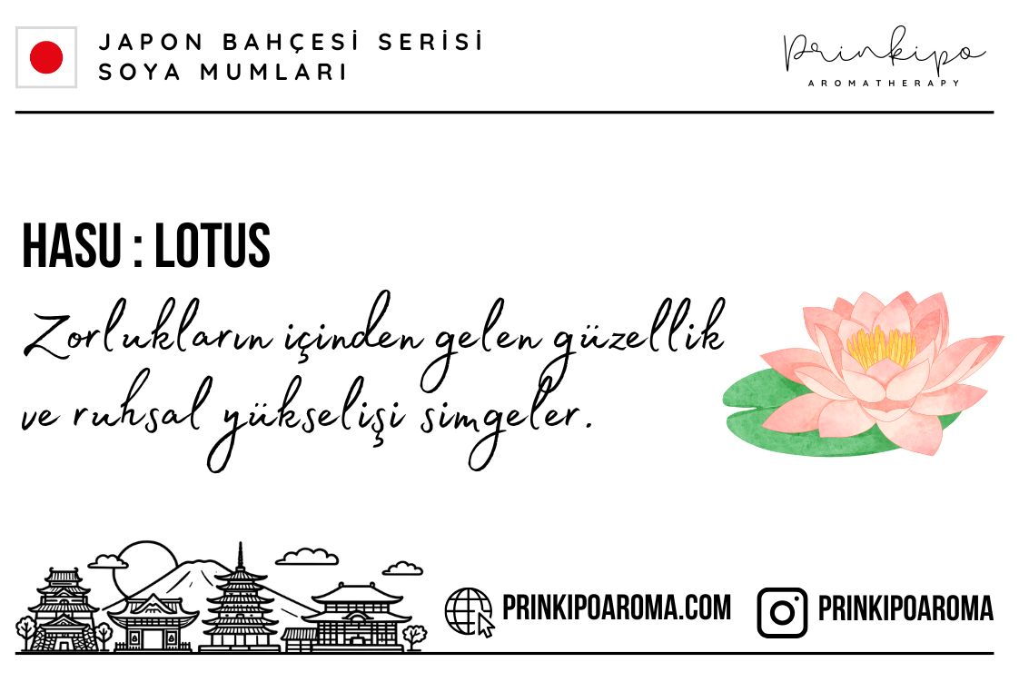 BÜYÜK-KART-Japon-Bahçesi---Lotus-9.5-x-6.45-cm.jpg
