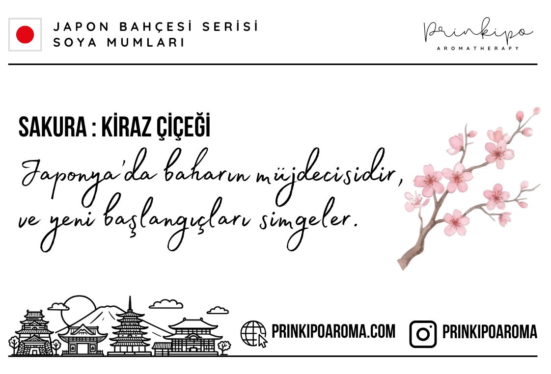 BÜYÜK-KART-Japon-Bahçesi---Sakura-9.5-x-6.45-cm.jpg