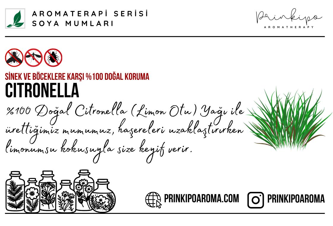 Citronella-Kart.jpg
